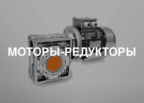Моторы-редукторы